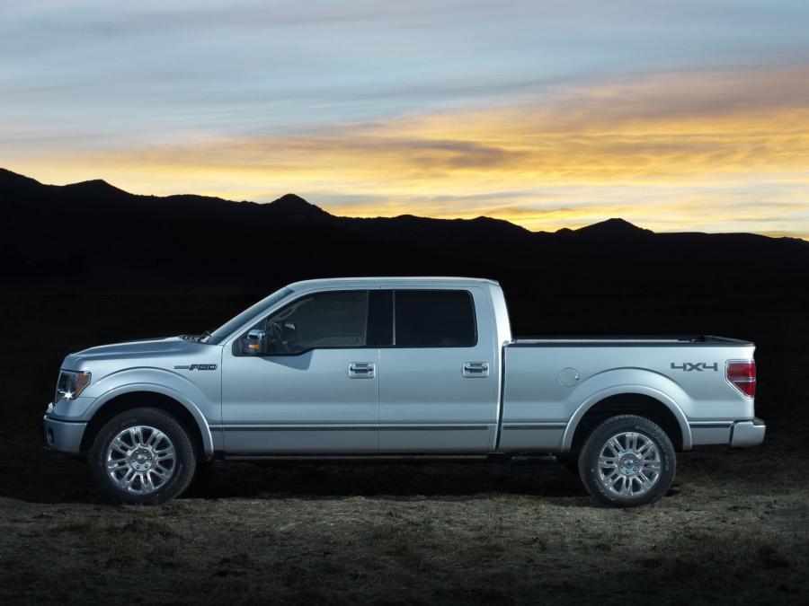  Ford F-150 Platinum 2008 года  (фото 11 из 19)